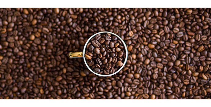 Arabika vs robusta