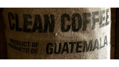 Gwatemala - kawa wychodzi z cienia